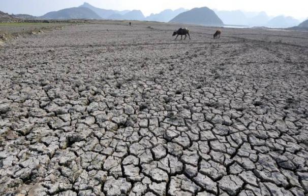 Una región de China, asolada por la sequía