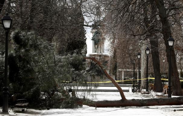 Precinto policial en el parque del Retiro de Madrid donde murió el niño de 4 años tras caerle un árbol encima. EFE/Mariscal