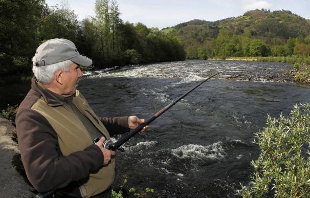 Uno de los cientos de pescadores que han tratado de hacerse en los ríos asturianos con el 'campanu'. EFE