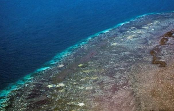 Vista aérea de la Barrera de Coral en Australia.EFE/Terry Hughes/Universidad James Cook