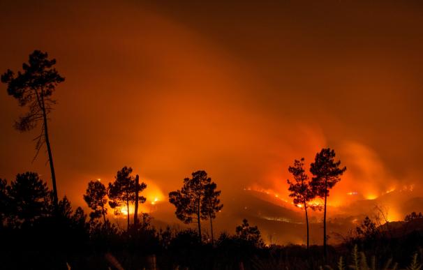 Imagen de un incendio forestal en la localidad de Vilaza, en el municipio orensano de Monterrei (Ourense) EFE/Brais Lorenzo
