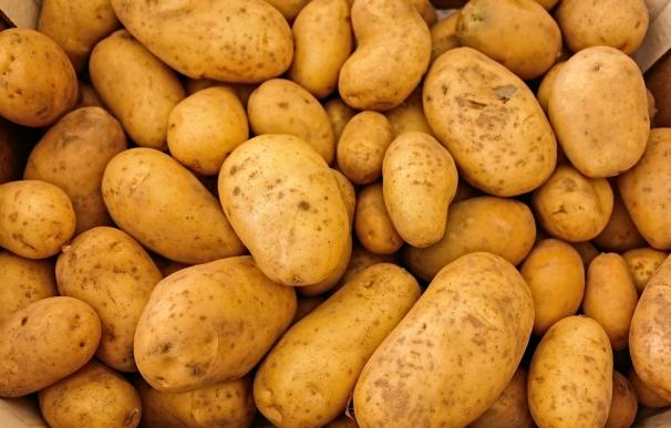 El robo de 50 kg de patatas le puede salir caro.
