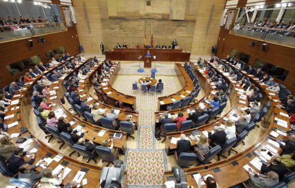 IU de Madrid pide un pleno monográfico en la Asamblea sobre las consecuencias en Madrid de modificar de la Constitución
