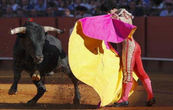 Los toros capean la crisis con 5 millones de espectadores y unos 1.500 festejos este año