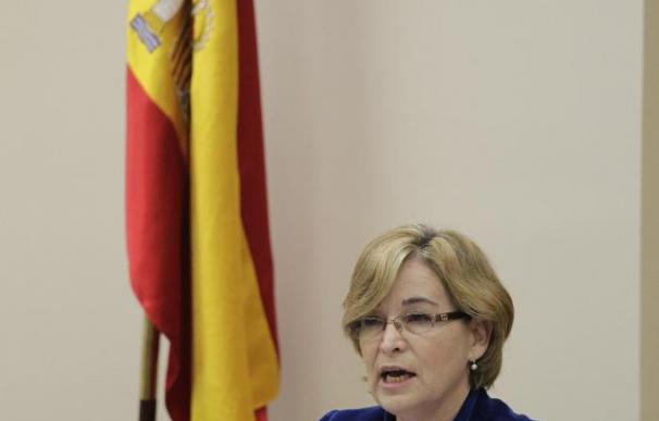 (Ampl.) Belén Romana cobró 295.000 euros en 2013 como presidenta de Sareb