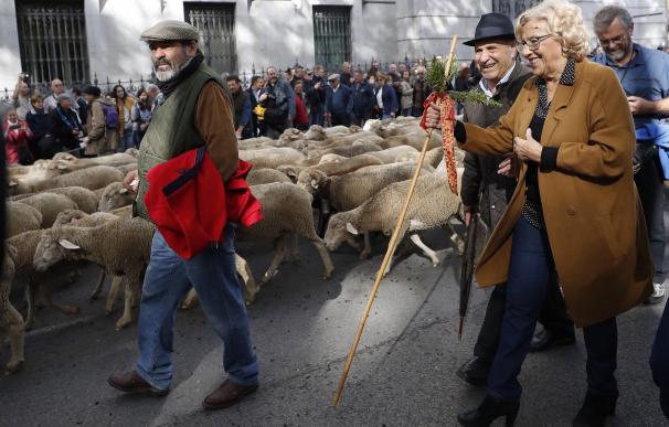 La alcaldesa de Madrid, Manuela Carmena, recibe a los pastores de los rebaños de ovejas merinas trashumantes con motivo de la Fiesta de la Trashumancia .EFE/Javier Lizón