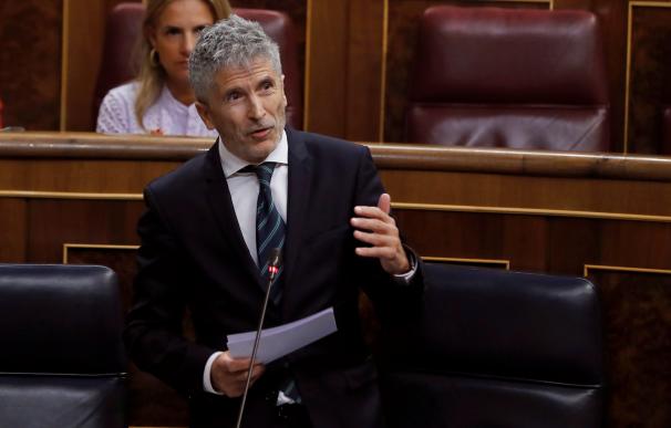 El ministro del Interior Fernando Grande-Marlaska, durante el pleno del Congreso de los Diputados.- EFE/Juan Carlos Hidalgo