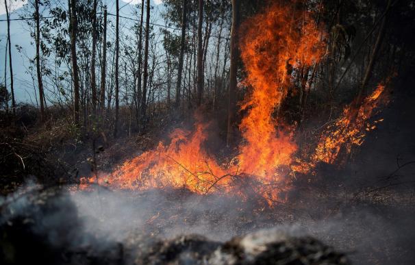 Llamas de un incendio en los montes próximos a la localidad cántabra de Ramales de la Victoria
