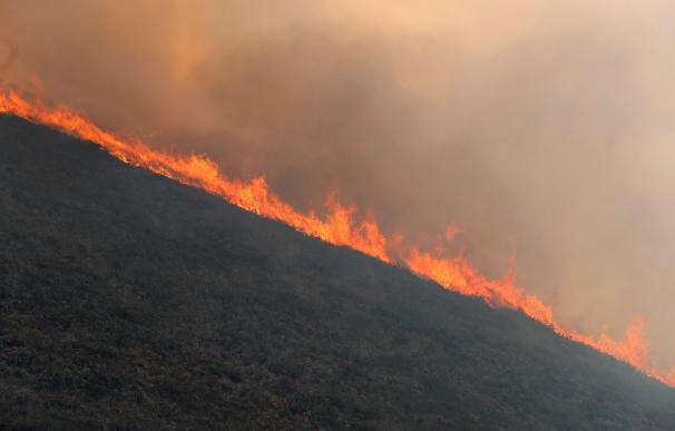 Incendio en las proximidades de Naves (Llanes)