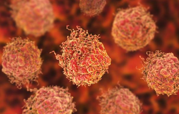 Células en el cáncer de próstata