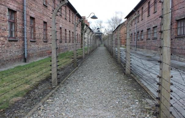 2.Auschwitz Birkenau, Polonia