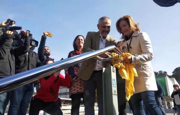 Ciudadanos retira lazos amarillos de la Universidad Autónoma de Barcelona