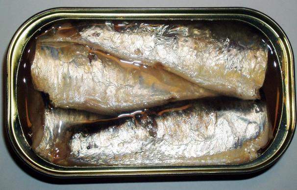 Fotografía de unas sardinas.