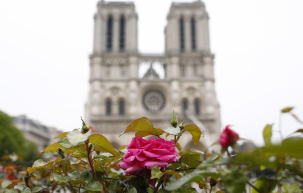 Notre Dame se debe reproducir como era, según arquitecto reconstruyó el Liceo