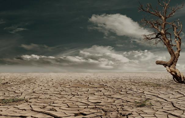 El 50% de la población mundial vivirá en desiertos en 2050