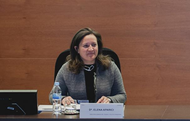 Elena Aparici, directora general del Tesoro.