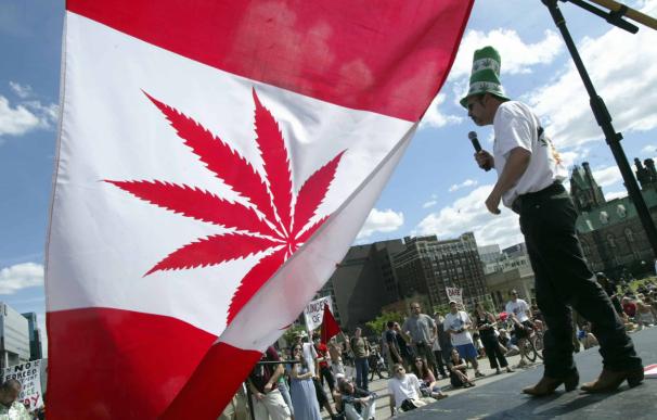 Canadá marihuana