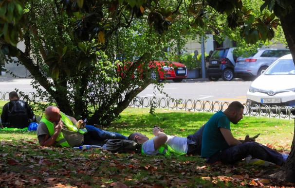 Varias personas descansan a la sombra en un parque de Madrid. /EFE