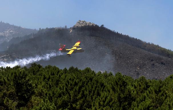 Un hidroavión trabaja en la extinción del incendio declarado ayer en Sotillo de la Adrada (Ávila). /EFE