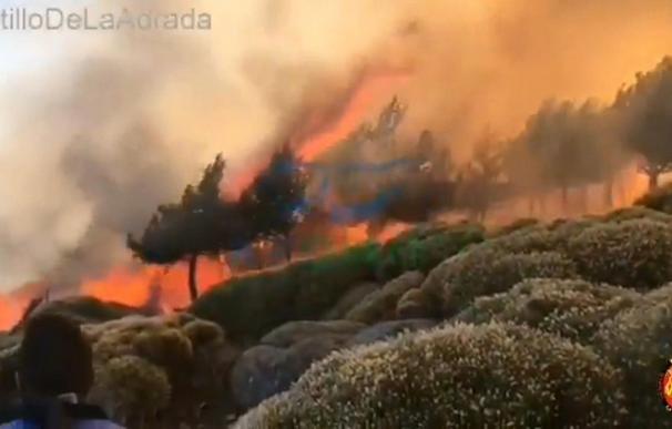 Captura de un vídeo de las Brigadas de Refuerzo de Incendios Forestales (BRIF), del incendio declarado en Sotillo de la Adrada. /EFE