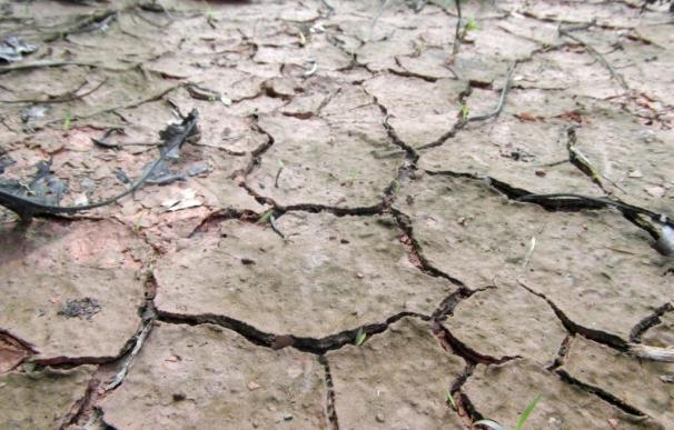 Sequía, cambio climático