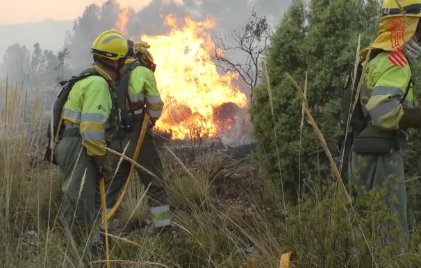 El incendio forestal de Beneixama arrasa 830 hectáreas