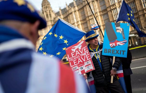 Manifestante anti brexit en el Parlamento Británico