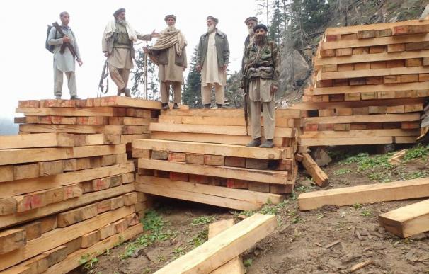 Talibanes en Afganistán con una remesa de madera