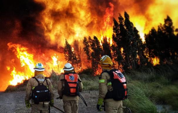 Los graves incendios en el centro de Portugal causaron ya ocho heridos, siete bomberos leves y un civil grave trasladado a la unidad de quemados de un hospital de Lisboa. /Grupo de Intervenção de Proteção e Socorro