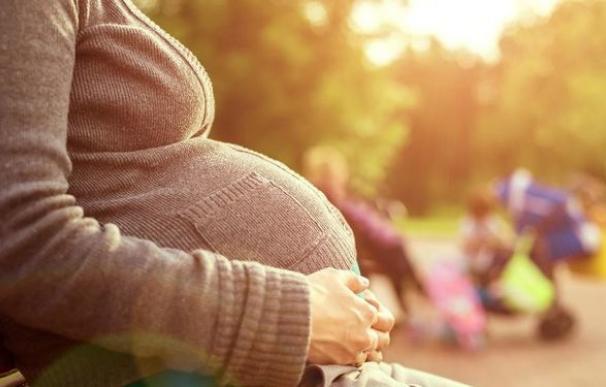 Una sentencia de Madrid declara la prestación por maternidad exenta de IRPF