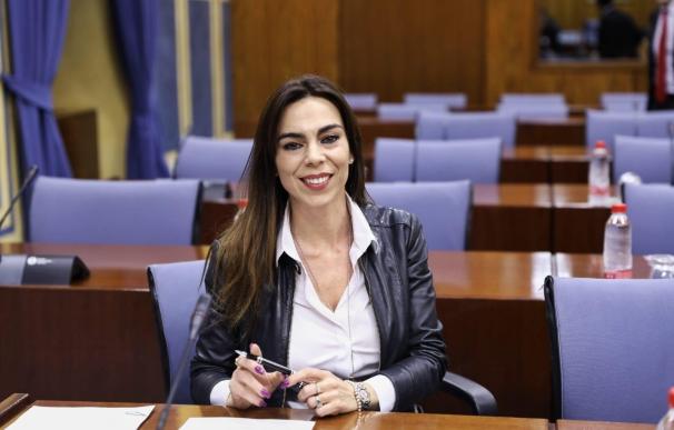 La parlamentaria de Ciudadanos por Málaga, Teresa Pardo, en comisión parlamentaria.