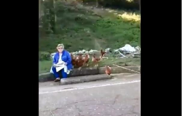 Vídeo libertad para las gallinas