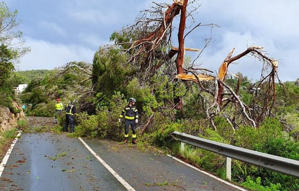 Un tornado en Ibiza derriba 200 árboles