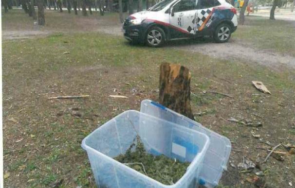 La Policía local de Getafe encuentran una caja con 6 kilos de marihuana en el Cerro de los Ángeles