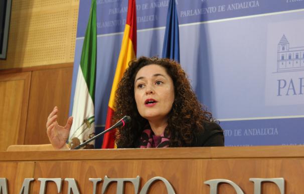 La responsable de Política Institucional de IU Andalucía y portavoz parlamentaria de Adelante Andalucía, Inmaculada Nieto, este miércoles en rueda de prensa