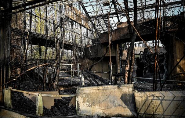 Zoo quemado en Alemania. / EFE