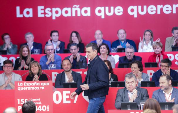 Pedro Sánchez, durante el Comité Federal del PSOE