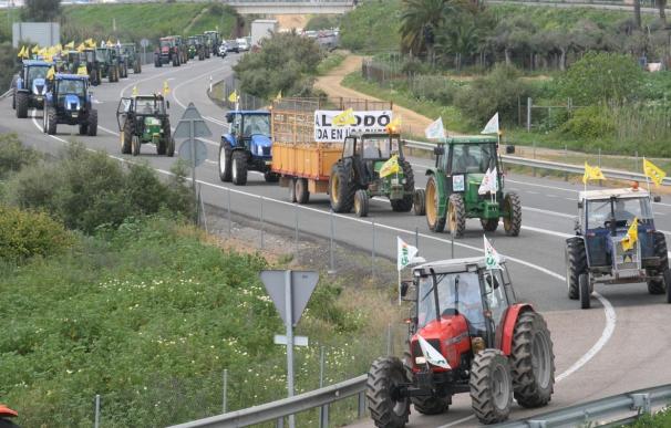 Tractores y cosechadoras vuelven a salir convocados por UPA y COAG en contra de una PAC que ataca a Andalucía