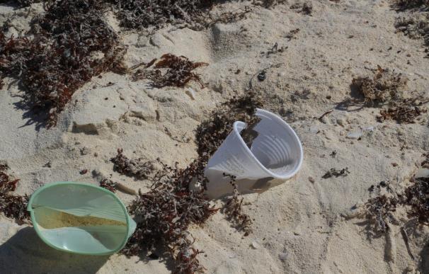 Plástico en la playa, contaminación, recurso, medio ambiente