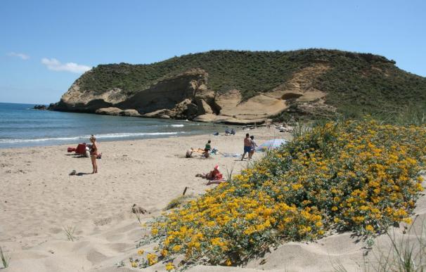La bandera roja ondea en la playa de La Carolina, en Águilas, y la amarilla en otras 11 playas de la Región de Murcia