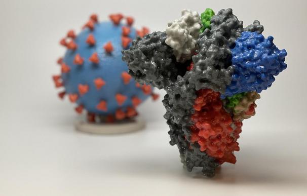 Impresión en 3D de la proteína del SARS-CoV-2, el virus que causa el COVID-19. /NIH