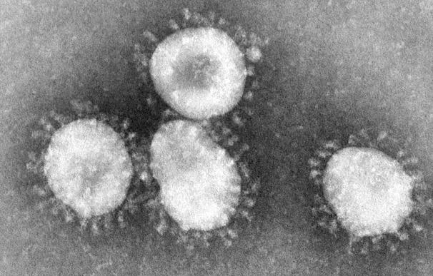 Primer caso de defunción por el coronavirus en Argelia