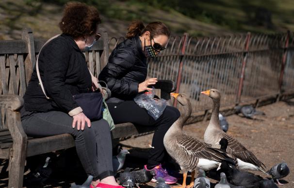 Una mujer con una máscara facial alimenta pájaros en St James Park, en el centro de Londres, Reino Unido, el 13 de abril de 2020. /EFE