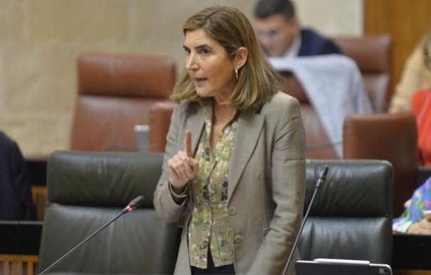La consejera de Empleo, Formación y Trabajo Autónomo, Rocío Blanco, este miércoles en el Parlamento andaluz.