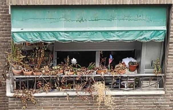 El balcón más triste de Madrid por el coronavirus. Las plantas se marchitan tras la muerte de los propietarios.
