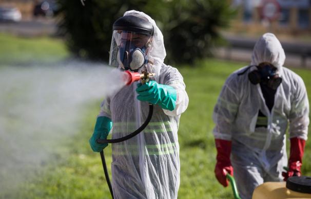 Dos trabajadores fumigando para combatir al mosquito