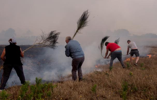 Vecinos de Cualedro trabajan en las extinción de las llamas del incendio forestal.