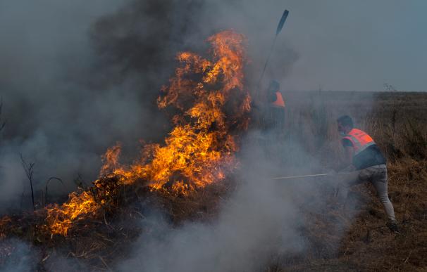 Efectivos de Protección Civil realizan labores de extinción en el incendio forestal de Cualedro.