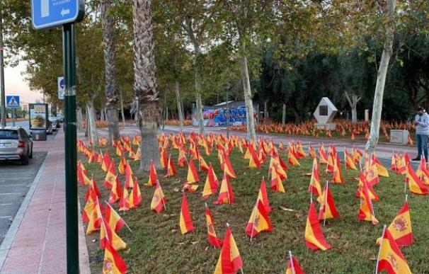 Algunas de las banderas de España colocadas en Murcia