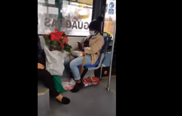Captura del video en el que se ve un ataque racista en un autobús de Lanzarote
